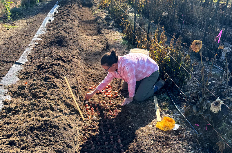 farm-02-(2)-dani