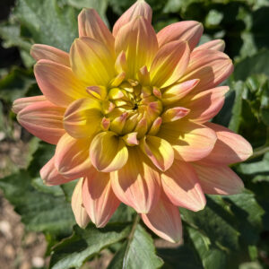 Summers End